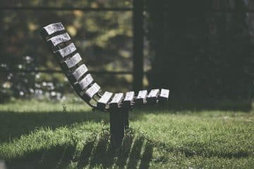 découvrez un jardin paisible où la nature s'épanouit dans une harmonie parfaite. profitez d'un espace de sérénité et de détente, idéal pour se ressourcer et se reconnecter avec soi-même.