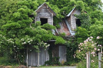 découvrez le charme intemporel des maisons en bois : une architecture durable alliant esthétique et respect de l'environnement. explorez des designs uniques qui vous offrent confort et chaleur au cœur de la nature.