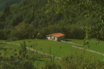 découvrez le charme intemporel des maisons en pierre, alliant authenticité et élégance. explorez nos modèles uniques, conçus pour s'intégrer harmonieusement dans leur environnement tout en offrant confort et durabilité.