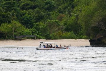 découvrez les meilleures attractions touristiques qui vous attendent : monuments emblématiques, paysages à couper le souffle et expériences culturelles uniques. planifiez votre voyage et explorez des destinations incontournables pour des souvenirs inoubliables.