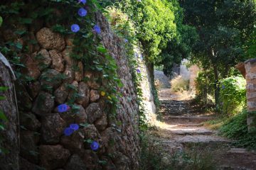 découvrez les sentiers cachés qui mènent à des paysages époustouflants et à des aventures inoubliables. parfait pour les amoureux de la nature et les explorateurs en quête de tranquillité.